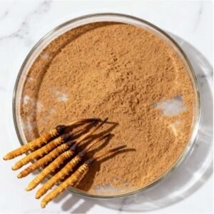Cordyceps Extract