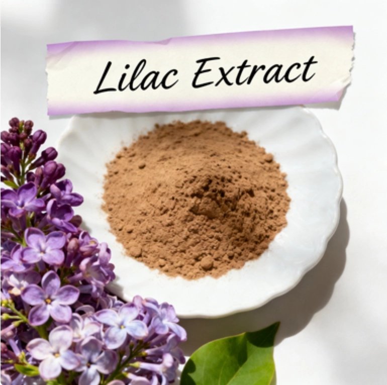 Lilac Extract