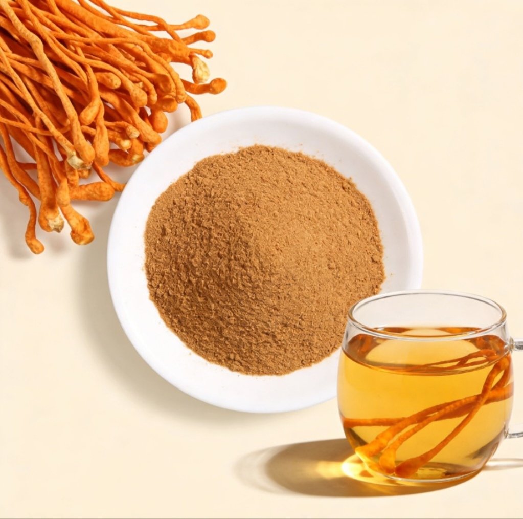 Cordyceps Militaris - 图片 2