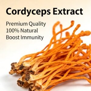 Cordyceps Militaris